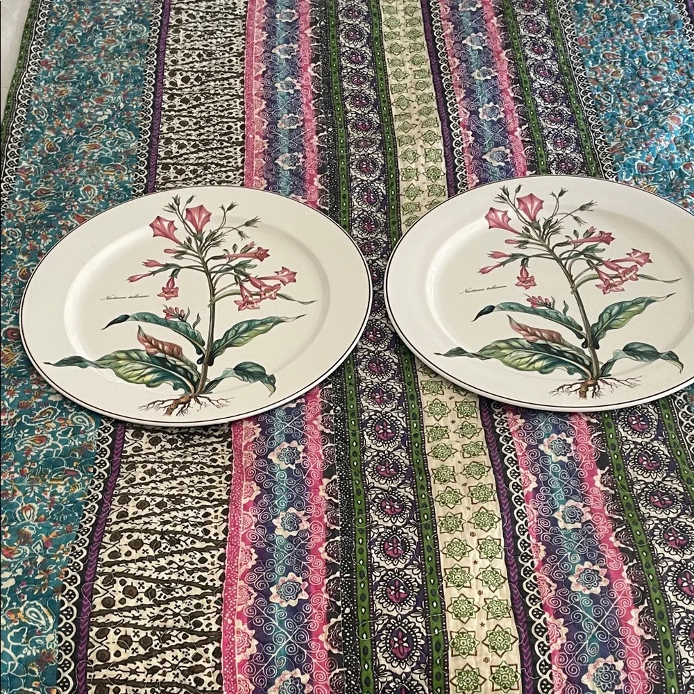2 villory & Boch Pink Floral Dinner Plates